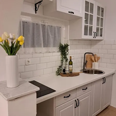 公寓 Studio Apartman Maris 扎达尔